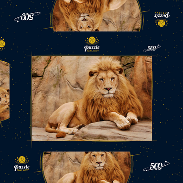 Ein Löwe entspannt auf einem Stein 500 Puzzle Schachtel 3D Modell