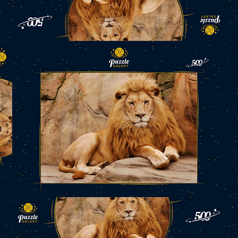 Ein Löwe entspannt auf einem Stein 500 Puzzle Schachtel 3D Modell