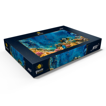 Korallenriff und Fische im Roten Meer in Ägypten 1000 Puzzle Schachtel Ansicht1
