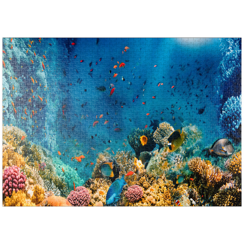 puzzleplate Korallenriff und Fische im Roten Meer in Ägypten 1000 Puzzle