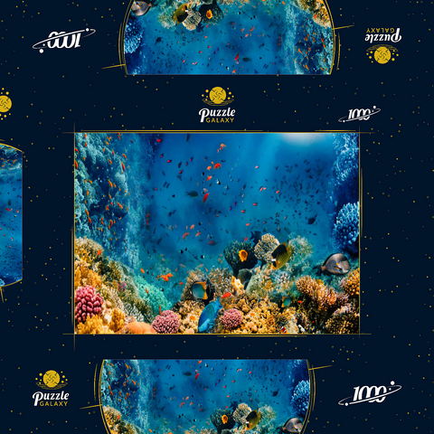 Korallenriff und Fische im Roten Meer in Ägypten 1000 Puzzle Schachtel 3D Modell