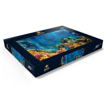 Korallenriff und Fische im Roten Meer in Ägypten 100 Puzzle Schachtel Ansicht1