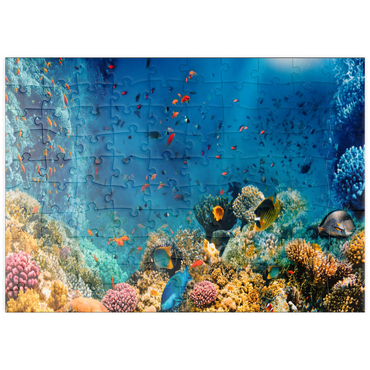 puzzleplate Korallenriff und Fische im Roten Meer in Ägypten 100 Puzzle