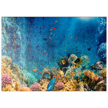 puzzleplate Korallenriff und Fische im Roten Meer in Ägypten 200 Puzzle
