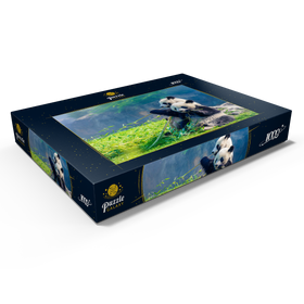 Darstellung des Puzzle Motivs Mutter Panda und ihr Baby Panda beim Bambus essen - Puzzleteile: 1000