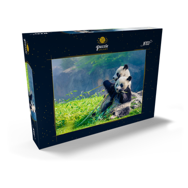 Mutter Panda und ihr Baby Panda beim Bambus essen 1000 Puzzle Schachtel Ansicht2