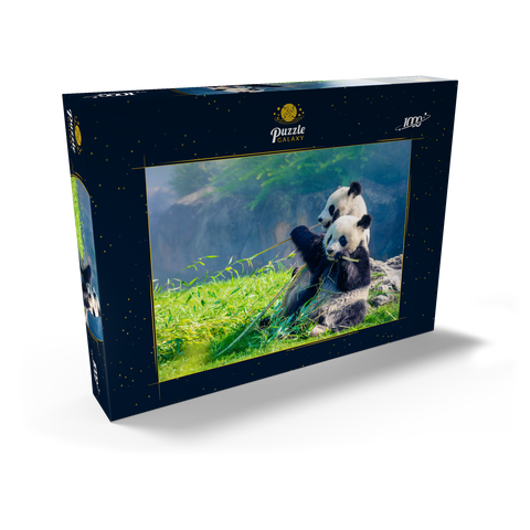 Mutter Panda und ihr Baby Panda beim Bambus essen 1000 Puzzle Schachtel Ansicht2