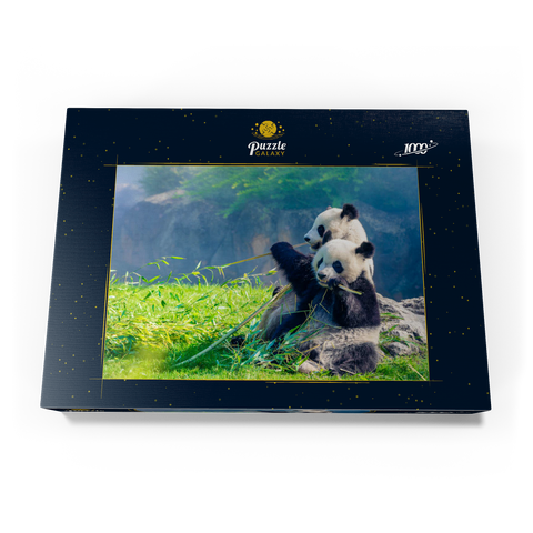 Mutter Panda und ihr Baby Panda beim Bambus essen 1000 Puzzle Schachtel Ansicht3