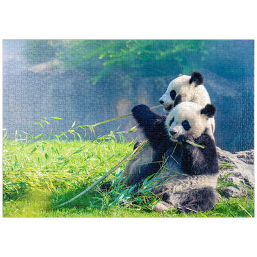 puzzleplate Mutter Panda und ihr Baby Panda beim Bambus essen 1000 Puzzle