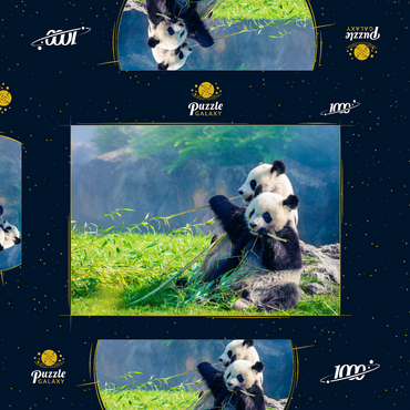 Mutter Panda und ihr Baby Panda beim Bambus essen 1000 Puzzle Schachtel 3D Modell