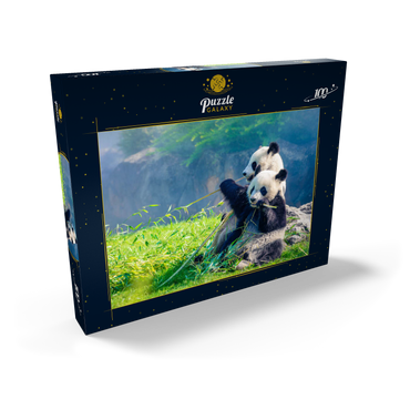Mutter Panda und ihr Baby Panda beim Bambus essen 100 Puzzle Schachtel Ansicht2