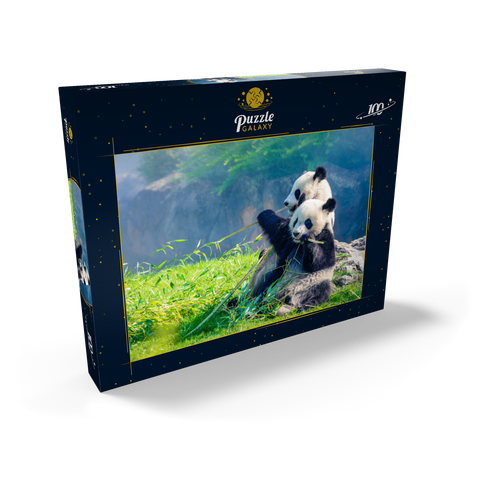 Mutter Panda und ihr Baby Panda beim Bambus essen 100 Puzzle Schachtel Ansicht2