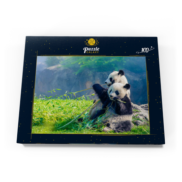 Mutter Panda und ihr Baby Panda beim Bambus essen 100 Puzzle Schachtel Ansicht3