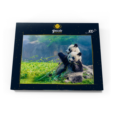 Mutter Panda und ihr Baby Panda beim Bambus essen 100 Puzzle Schachtel Ansicht3