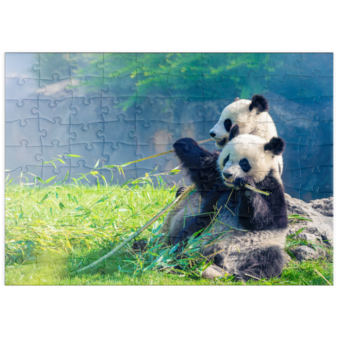 puzzleplate Mutter Panda und ihr Baby Panda beim Bambus essen 100 Puzzle