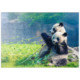 Darstellung des Puzzle Motivs Mutter Panda und ihr Baby Panda beim Bambus essen - Puzzleteile: 100