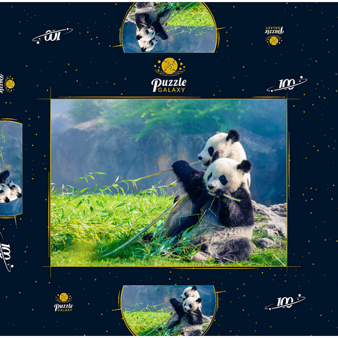 Mutter Panda und ihr Baby Panda beim Bambus essen 100 Puzzle Schachtel 3D Modell
