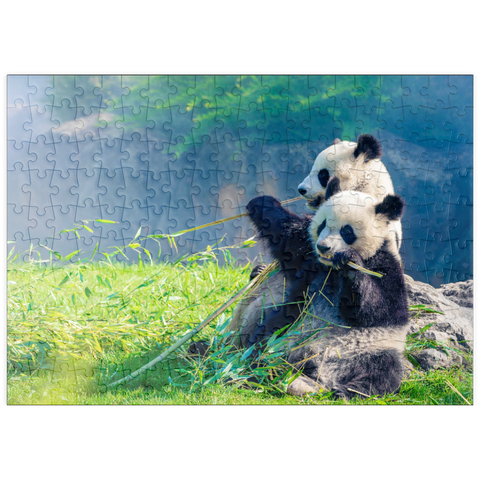 puzzleplate Mutter Panda und ihr Baby Panda beim Bambus essen 200 Puzzle