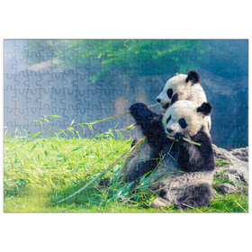 Darstellung des Puzzle Motivs Mutter Panda und ihr Baby Panda beim Bambus essen - Puzzleteile: 200