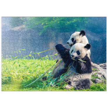 puzzleplate Mutter Panda und ihr Baby Panda beim Bambus essen 500 Puzzle
