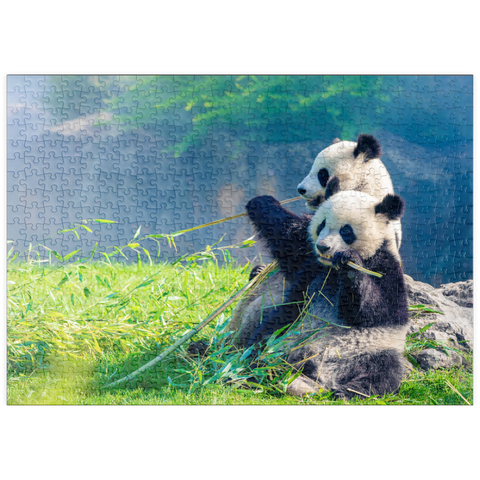 puzzleplate Mutter Panda und ihr Baby Panda beim Bambus essen 500 Puzzle