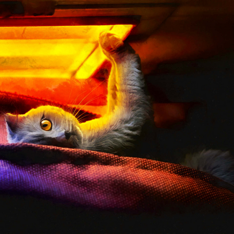Süße Katze im Nachtfenster 1000 Puzzle 3D Modell