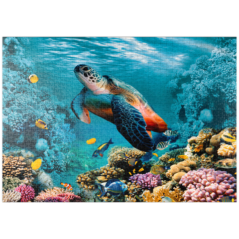 puzzleplate Unterwasserwelt mit Schildkröte und Korallen 1000 Puzzle