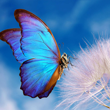 Morpho-Schmetterling mit Leuchterblume 100 Puzzle 3D Modell