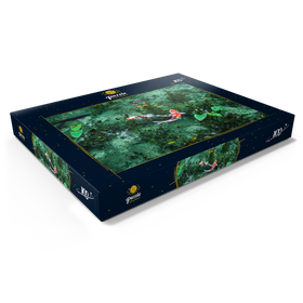 Alternative Darstellung des Puzzle-Motivs Monets Koi Teich in der Stadt Seki in der Präfektur Gifu, Japan – Puzzleteile: 100