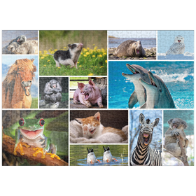 Darstellung des Puzzle-Motivs Tierisch Lustig - Collage No. 1 – Puzzleteile: 1000