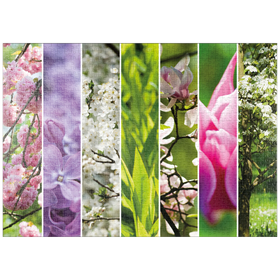 Darstellung des Puzzle-Motivs Blütenpracht - Collage Nr. 1 – Puzzleteile: 1000