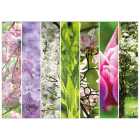 Darstellung des Puzzle Motivs Blütenpracht - Collage Nr. 1 - Puzzleteile: 100