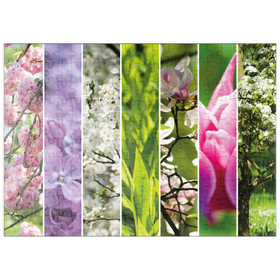 Darstellung des Puzzle-Motivs Blütenpracht - Collage Nr. 1 – Puzzleteile: 200