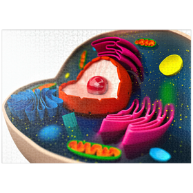 Darstellung des Puzzle Motivs Die Struktur einer biologischen Zelle (3D-Modell) - Puzzleteile: 1000
