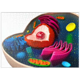 Darstellung des Puzzle-Motivs Die Struktur einer biologischen Zelle (3D-Modell) – Puzzleteile: 500
