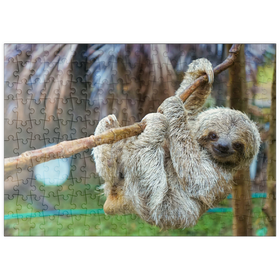 Darstellung des Puzzle Motivs Faultiere im San Jose Rettungszentrum, Costa Rica - Puzzleteile: 200