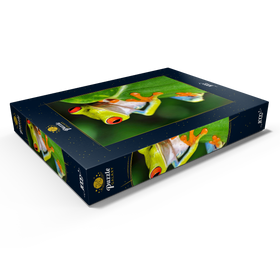 Alternative Darstellung des Puzzle-Motivs Grüner Laubfrosch – Puzzleteile: 1000