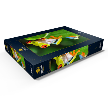Grüner Laubfrosch 1000 Puzzle Schachtel Ansicht1