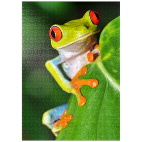 Darstellung des Puzzle-Motivs Grüner Laubfrosch – Puzzleteile: 1000