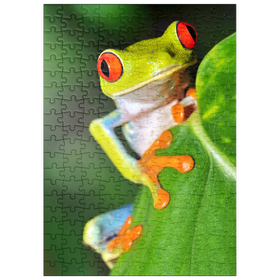 Darstellung des Puzzle Motivs Grüner Laubfrosch - Puzzleteile: 200
