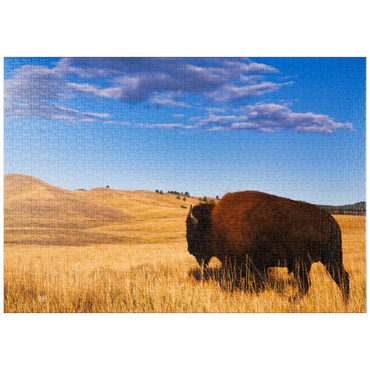 puzzleplate Bison / Büffel läuft in die sanften Hügel der Prärie 1000 Puzzle