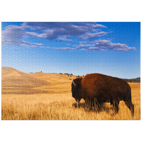 puzzleplate Bison / Büffel läuft in die sanften Hügel der Prärie 1000 Puzzle