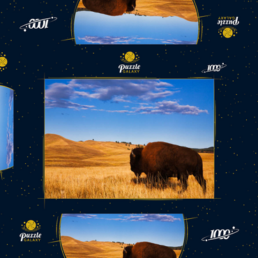 Bison / Büffel läuft in die sanften Hügel der Prärie 1000 Puzzle Schachtel 3D Modell