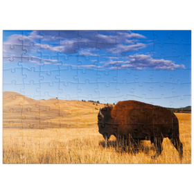 Darstellung des Puzzle Motivs Bison / Büffel läuft in die sanften Hügel der Prärie - Puzzleteile: 100