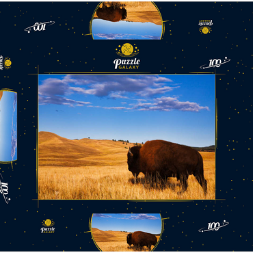 Bison / Büffel läuft in die sanften Hügel der Prärie 100 Puzzle Schachtel 3D Modell