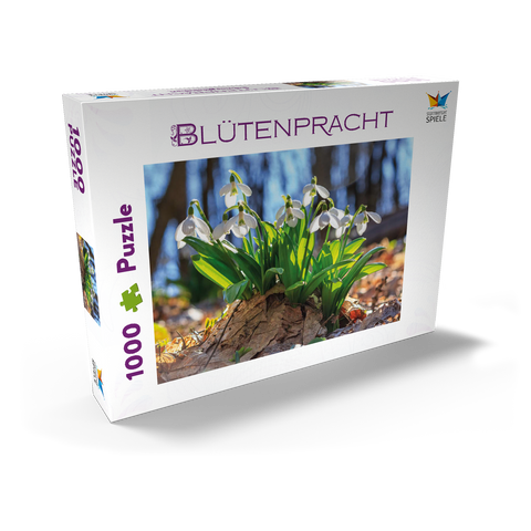 Schneeglöckchen (Galanthus nivalis), Frühlingsblumen im Wald 1000 Puzzle Schachtel Ansicht2