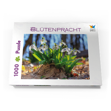 Schneeglöckchen (Galanthus nivalis), Frühlingsblumen im Wald 1000 Puzzle Schachtel Ansicht3