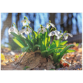 Darstellung des Puzzle-Motivs Schneeglöckchen (Galanthus nivalis), Frühlingsblumen im Wald – Puzzleteile: 1000