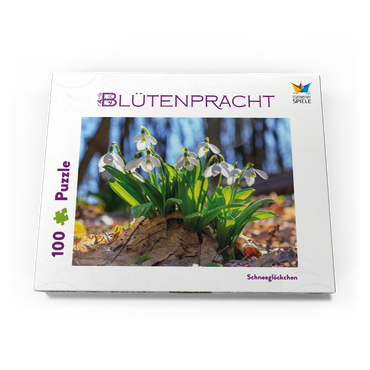 Schneeglöckchen (Galanthus nivalis), Frühlingsblumen im Wald 100 Puzzle Schachtel Ansicht3