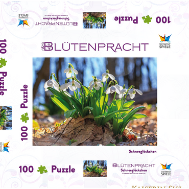Schneeglöckchen (Galanthus nivalis), Frühlingsblumen im Wald 100 Puzzle Schachtel 3D Modell